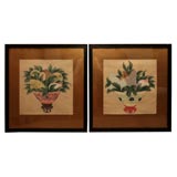 Pair of Original Painted Chinese Water Colors