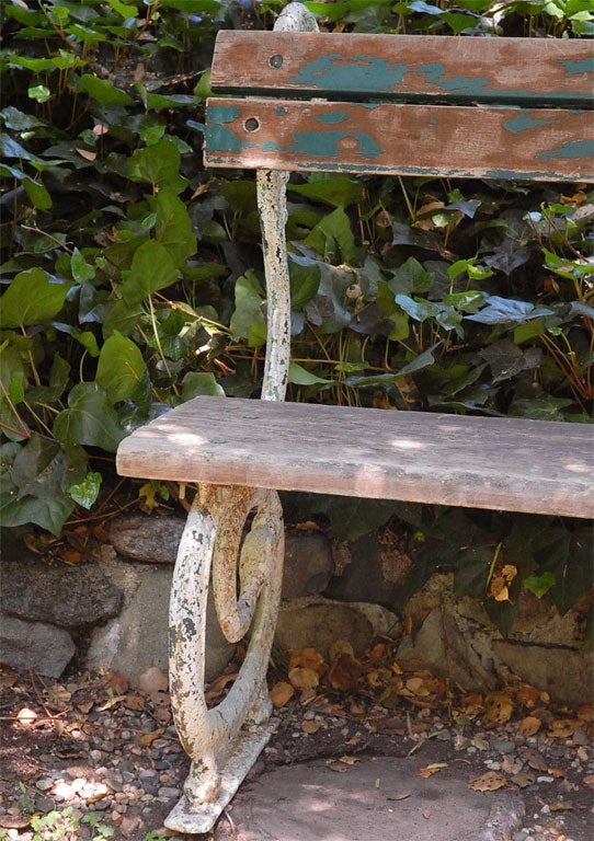 American 19th Century Iron Rattlesnake Bench For Sale