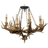 Deer Horn Chandelier