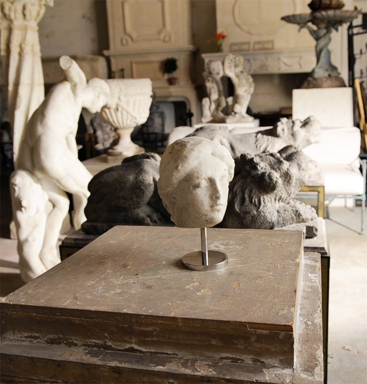 Classical Marble Head, 18th c.