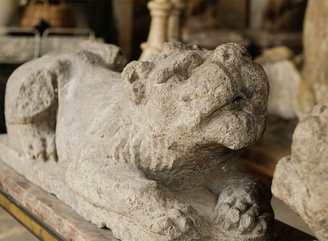 Rare pair of carved Italian Lions, 17th c. For Sale 3