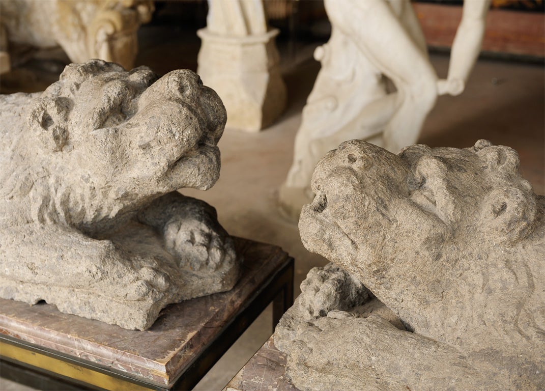 Rare pair of carved Italian Lions, 17th c. For Sale 4