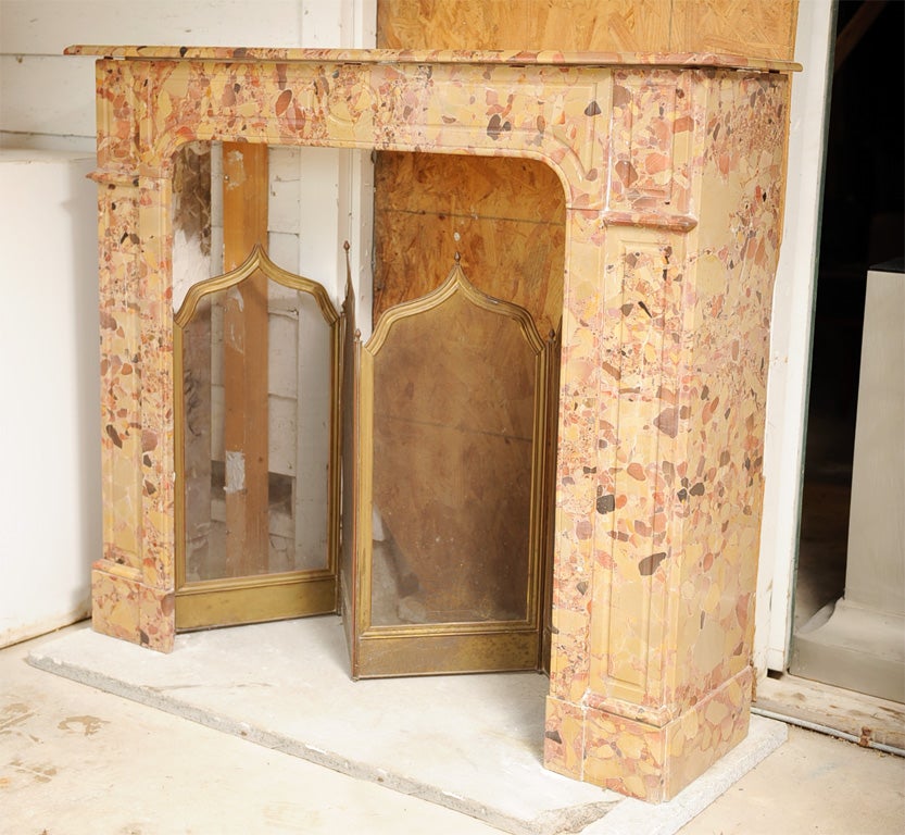 Mantel - 19th c. French marble fireplace surround