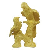 Double Yellow Parrot
