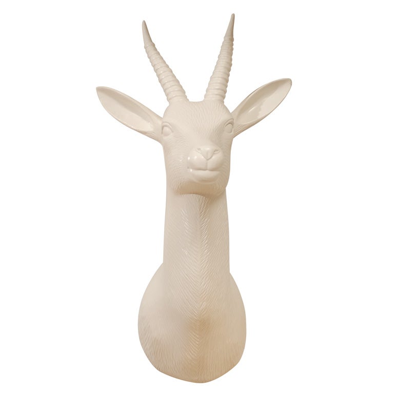 Small Antelope