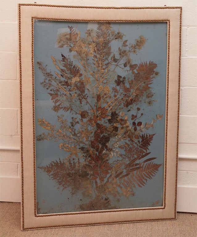 large scale dried botanical