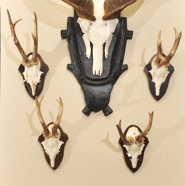 Set of Four "Jackalope" Trophies