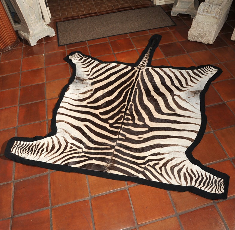 Zebra Skin Rug at 1stdibs