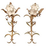 Antique Pair of Italian Floral Sconces