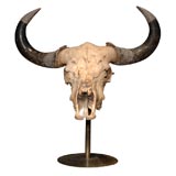 Water Buffalo Skull with  Carved Silver Ornamentation (ref# EL8)