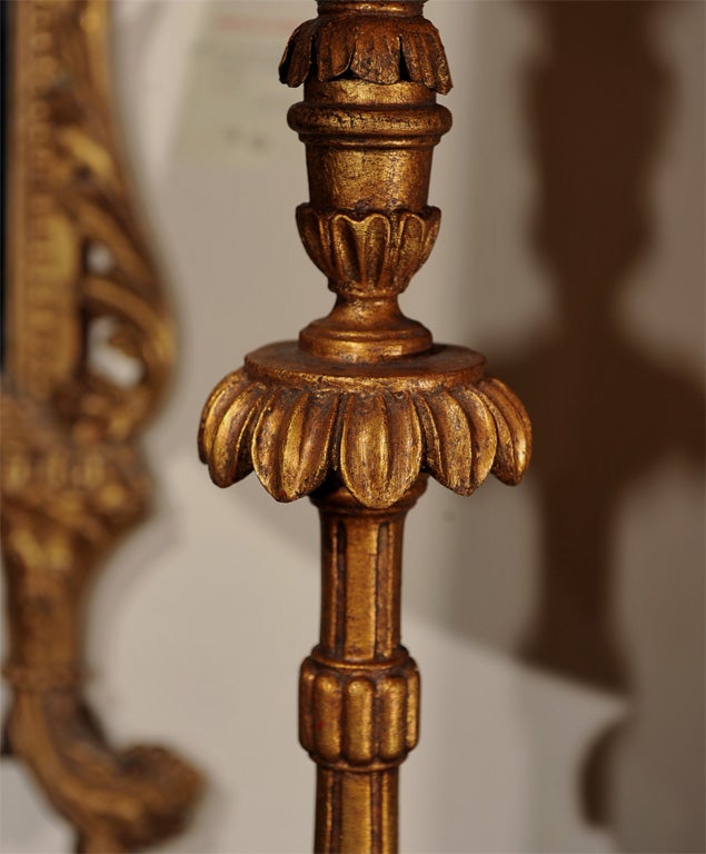 Pair Giltwood Prickets as Lamps For Sale 2