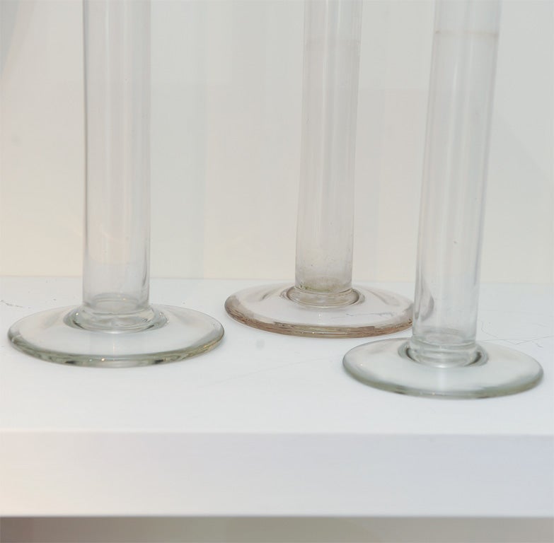 Tall and chic test tube vases