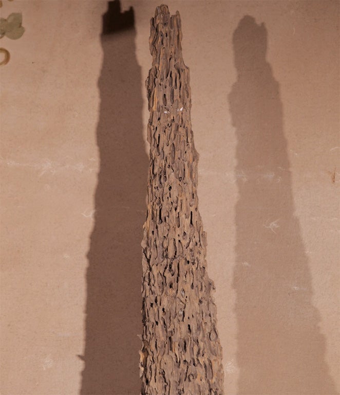 Wooden log originally used for the purpose of collecting and harvesting mussels.<br />
<br />
Base measures: 11