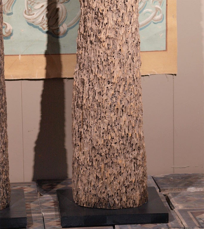 Mussel Pole Salvaged Wood Sculpture 3