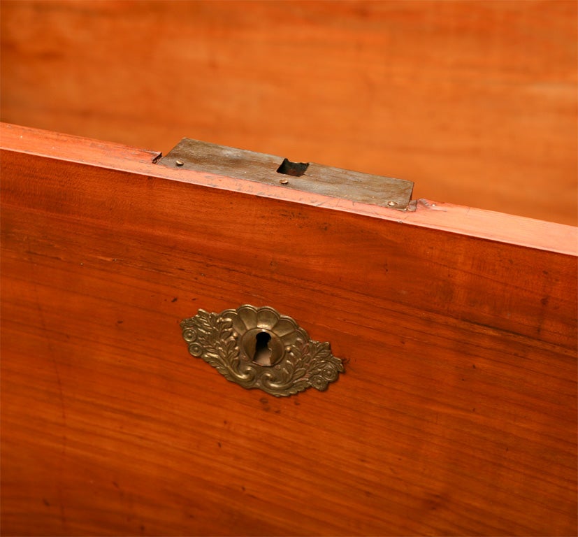 Biedermeier Walnut Trunk 1