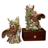 Pair of German Porcelain Owls