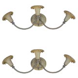 Pair of French "fleur de lis" sconces