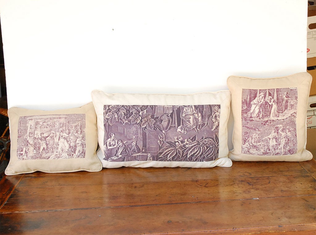 Unique toile de Jouy down pillows  - new linen back
