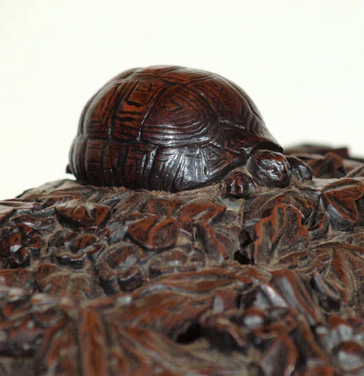 LARGE BLACK FOREST BOX