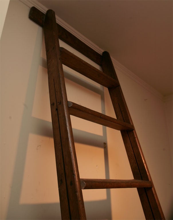 French library ladder
