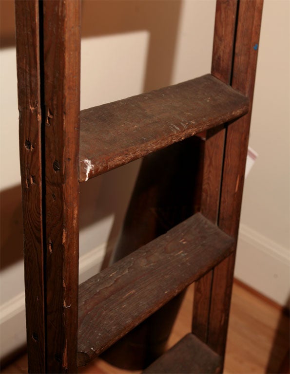 19th Century library ladder