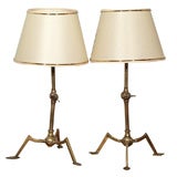 Unusual Pair of Adjustable Brass Table or Wall Lamps