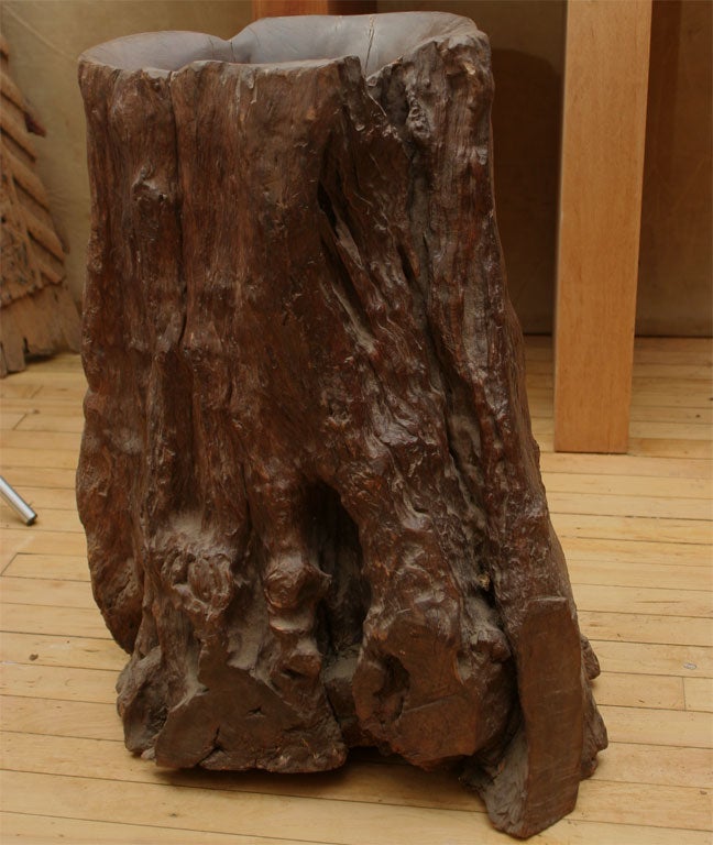 wood trunk hollowed as a scroll container