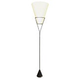 Single Iron Floor Lamp by Carl Aubock, Austrian, circa 1950