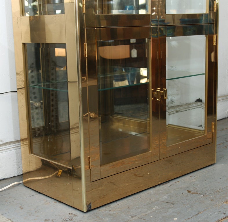 Brass Vitrine by Mastercraft