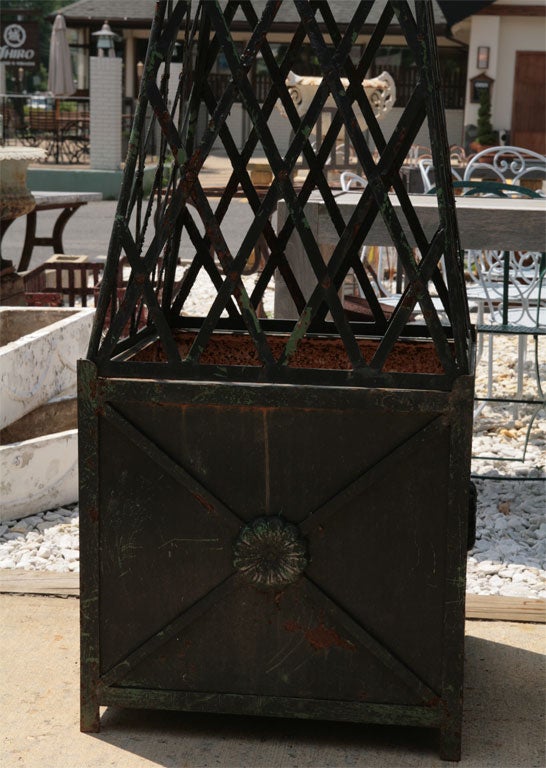 French Pair of Oblisk Topiaries atop Versaille Box Plainters