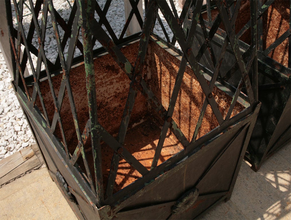 Iron Pair of Oblisk Topiaries atop Versaille Box Plainters