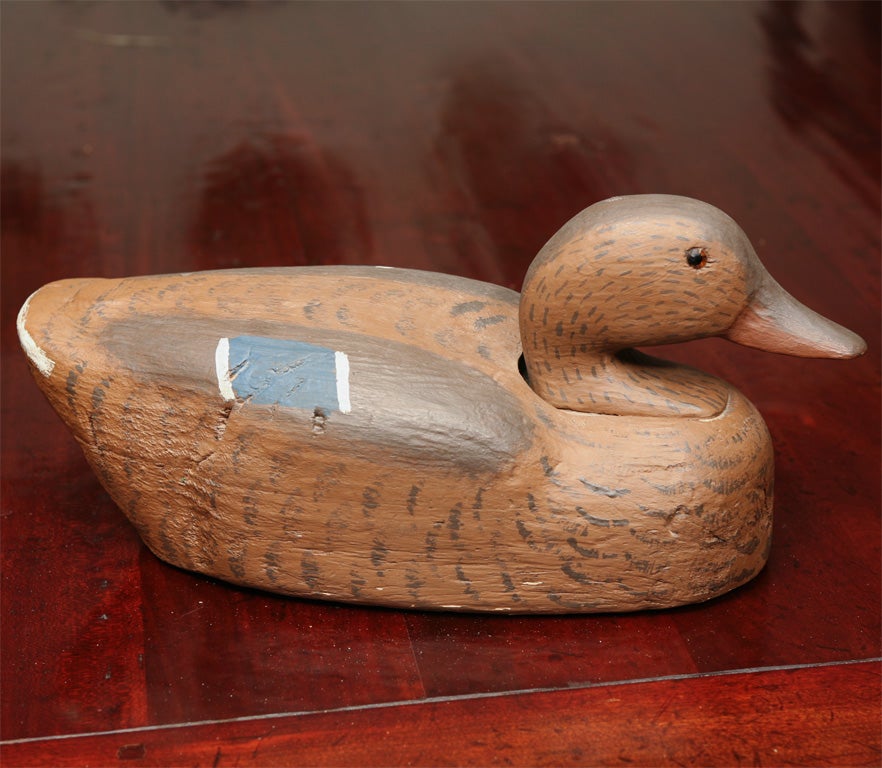 Duck decoy