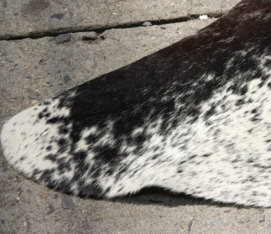 cow skin carpet