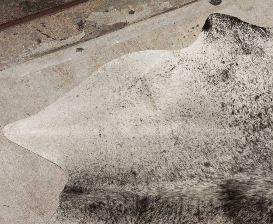 Cow Hide Rug 1