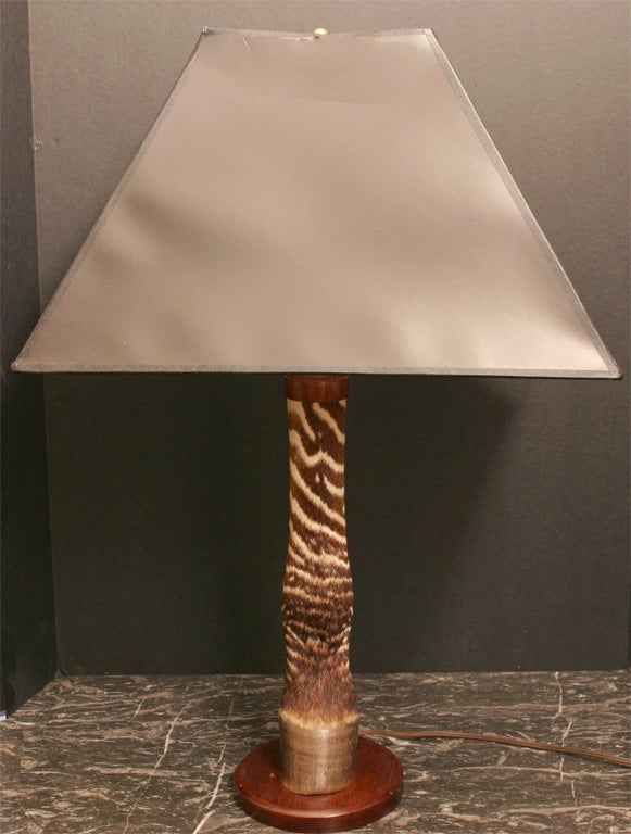 This lamp made from the lower section of a zebra leg  attached to a nice wood base,the whole still with it's original lamp parts. An excellent oject for a man's hunt room or library