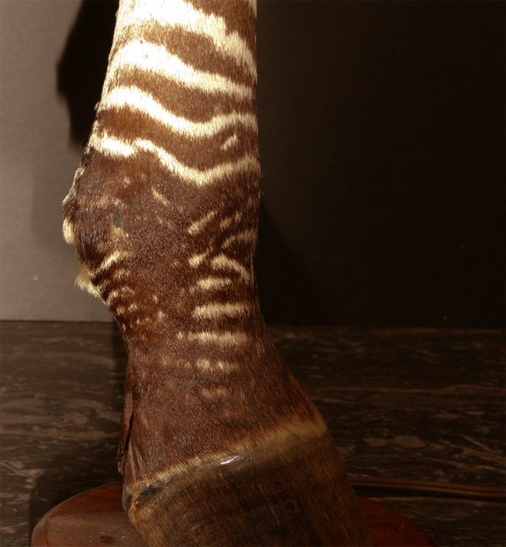 Unknown A 50's Zebra  Leg Lamp