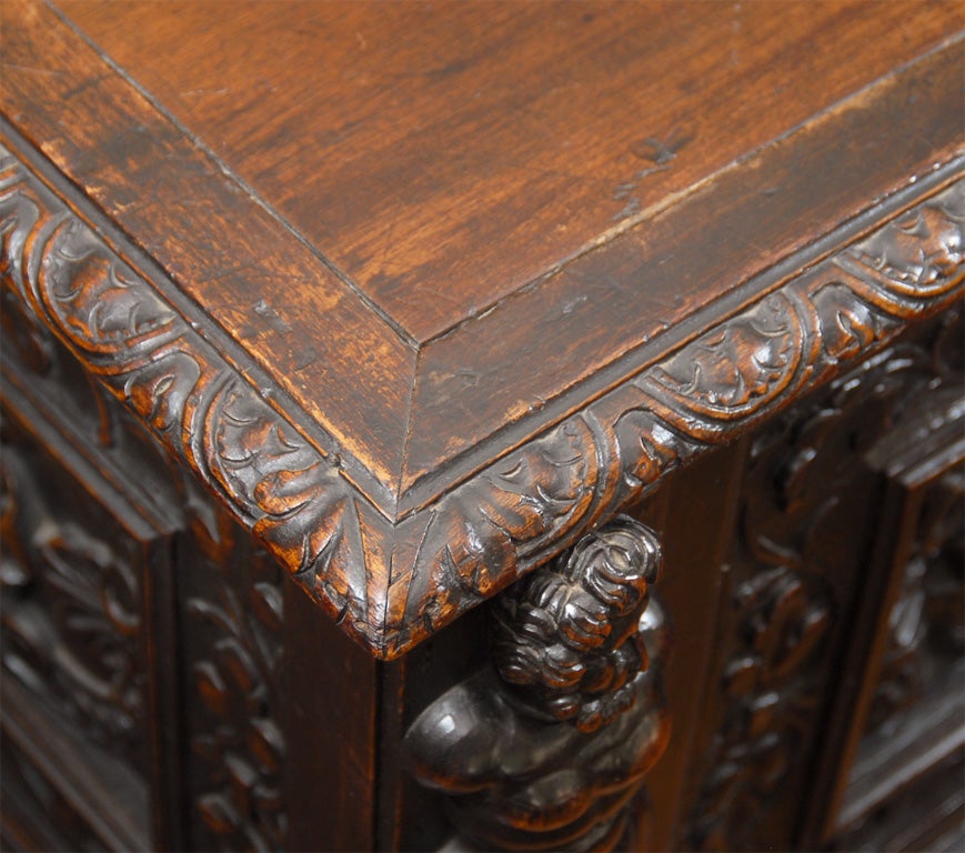 Carved Walnut Cassonne, Italy 19th Century 4