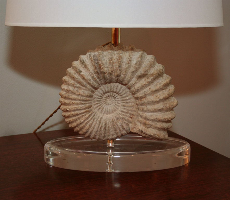 Pair of Fossil Lamps by Pascal Boyer