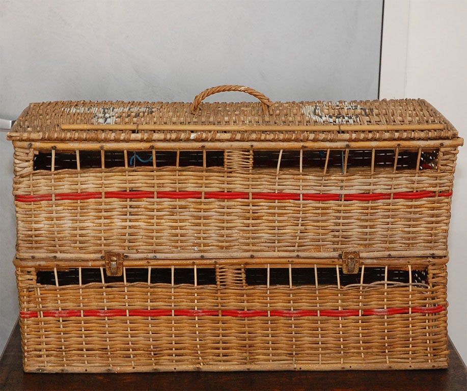 pigeon carrier baskets