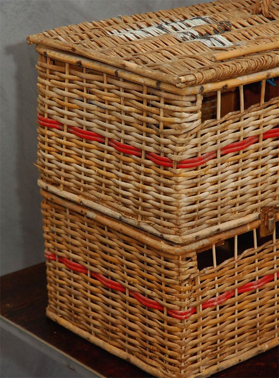 English Pigeon Carrier Basket
