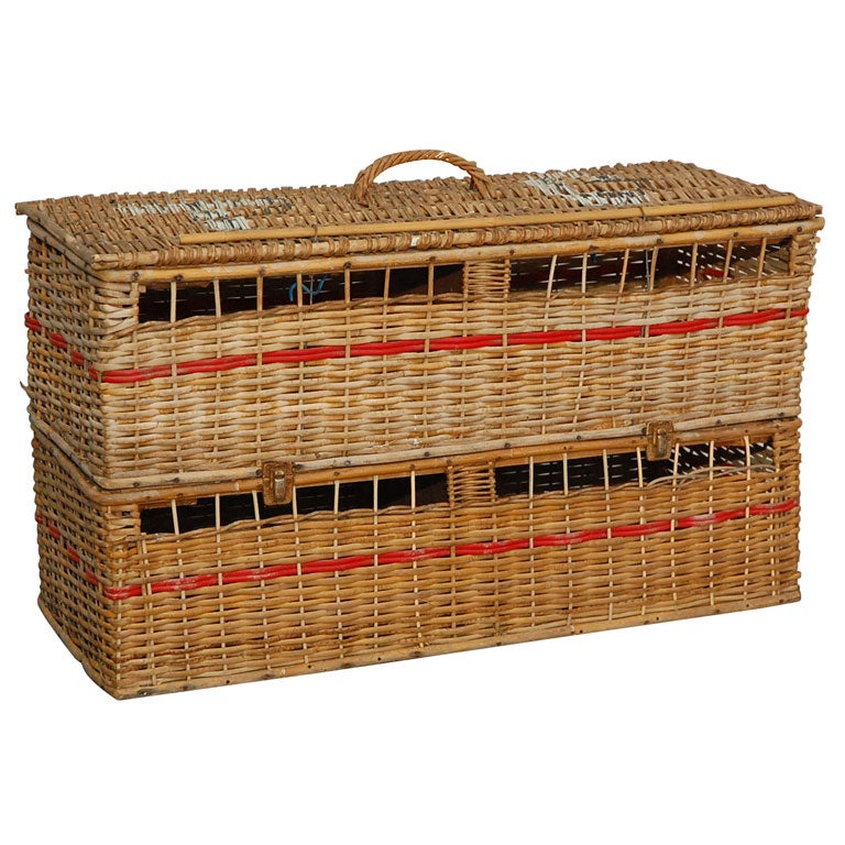 Pigeon Carrier Basket