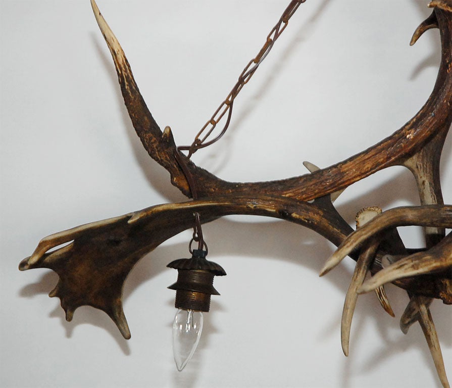 Country Elk and Deer Horn Chandelier For Sale