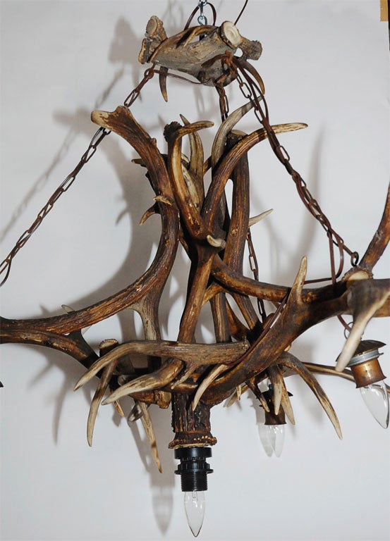 German Elk and Deer Horn Chandelier For Sale