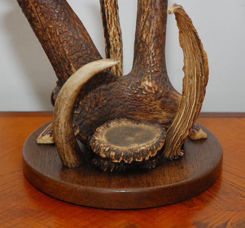 Unique Elk Deer and Horn Table Lamp at 1stDibs