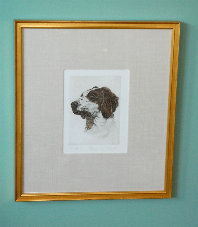 Hand colored dry point etching of a Whippet by Geoffrey Lasko with new framing and matting.