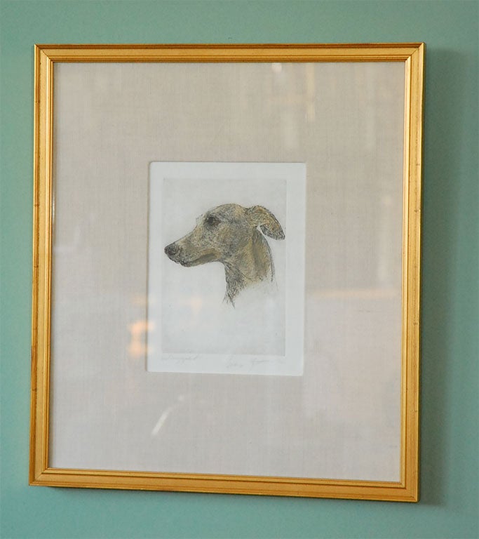 20th Century Colored Etching of Whippet Hunting Dog For Sale