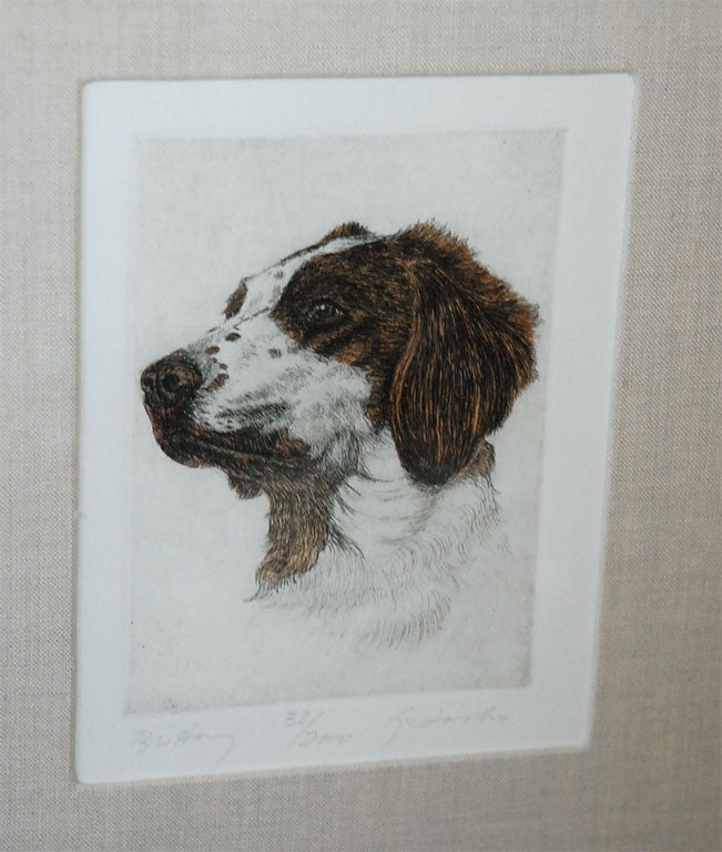 Colored Etching of Whippet Hunting Dog For Sale 1