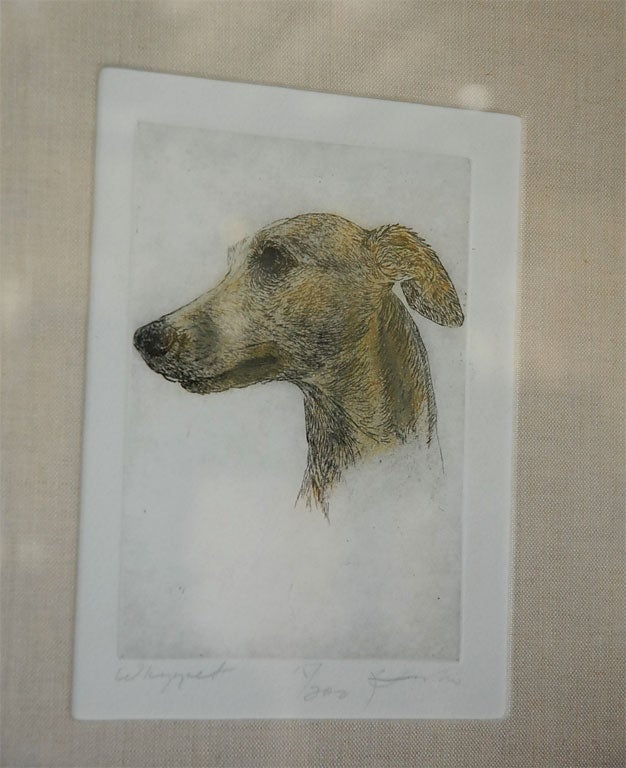 Colored Etching of Whippet Hunting Dog For Sale 2