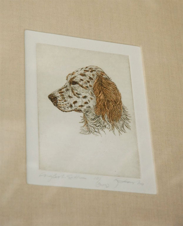 Colored Etching of Whippet Hunting Dog For Sale 3