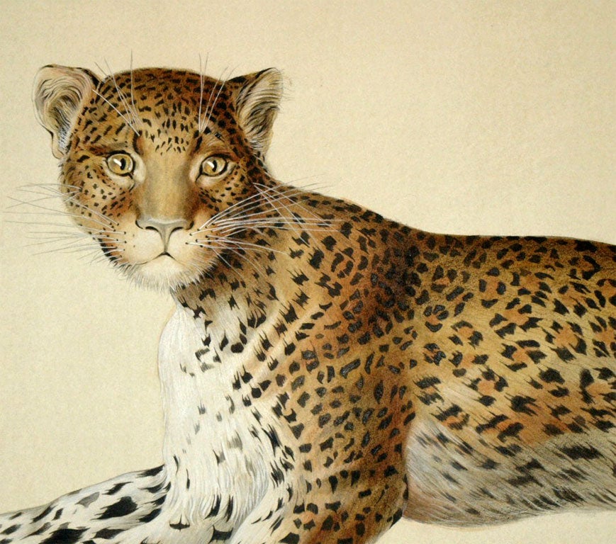 8003   A WATERCOLOR OF A LEOPARD In Excellent Condition In New Orleans, LA